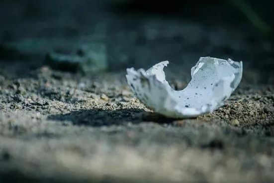 場景暴雷，金融買單：場景金融的風控蛋殼碎了嗎？