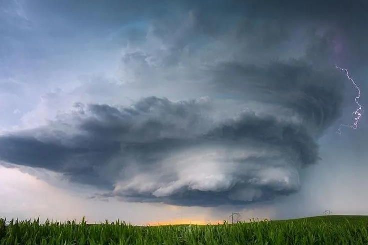 “浙江首例政信違約”再爆猛料,承銷商涉嫌非吸被立案