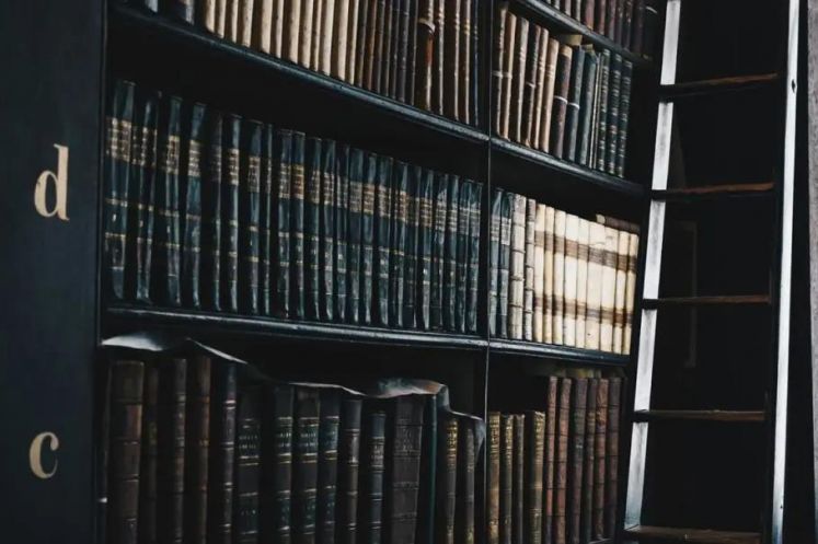 以案說(shuō)“典”,共同走進(jìn)法典時(shí)代——抵押預(yù)告登記權(quán)利人在符合一定條件下可就抵押財(cái)產(chǎn)優(yōu)先受償