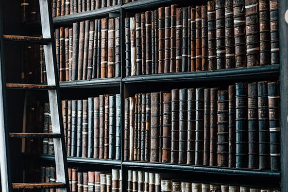 以案說法|執行案件中，能否追加一人有限公司的股東為被執行人？