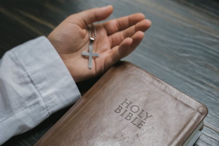 向死而生：千瘡百孔的凱迪生態何以實現自我救贖！